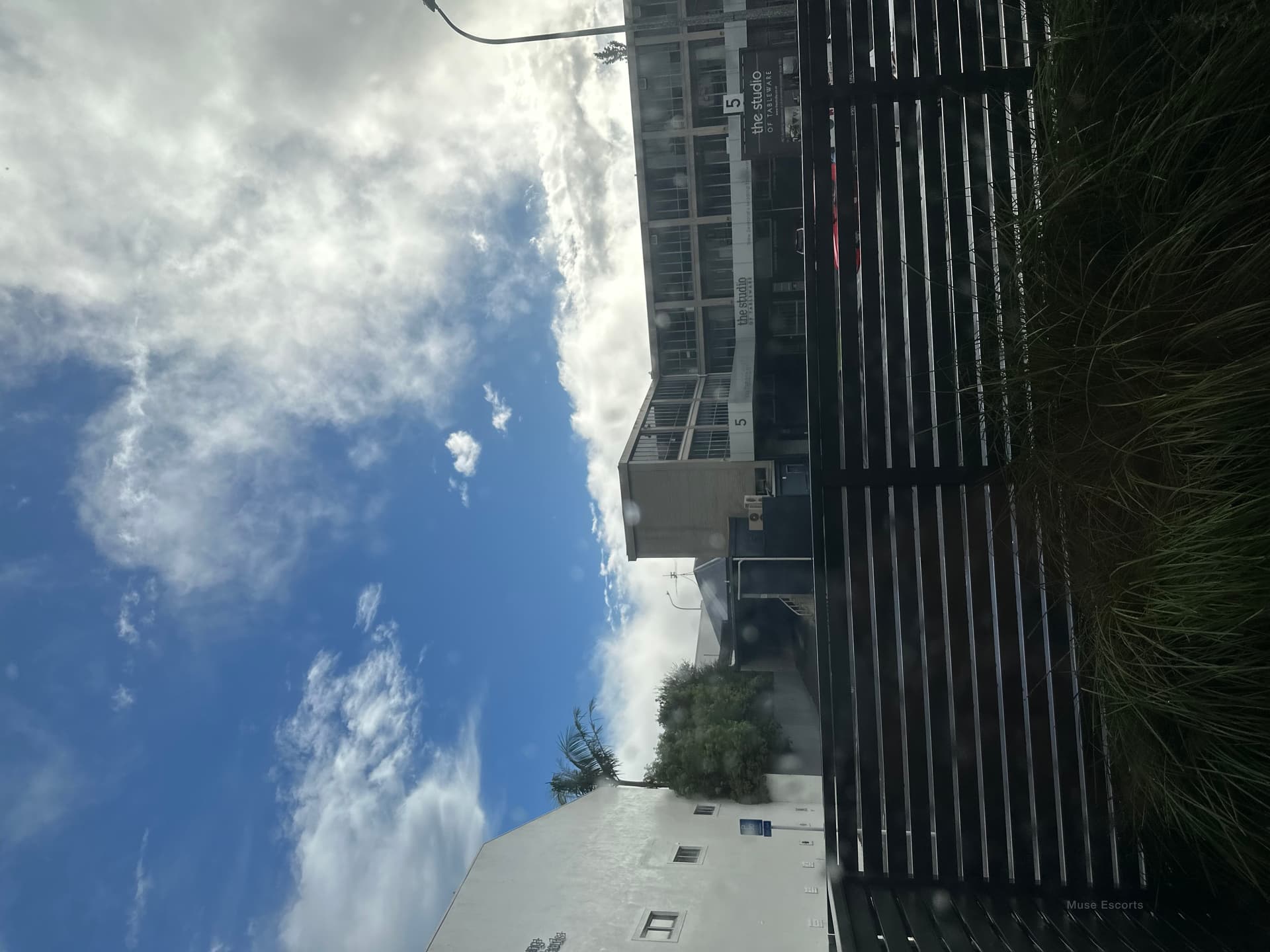 Lana, escort in Te Rapa, Hamilton (photo 3)